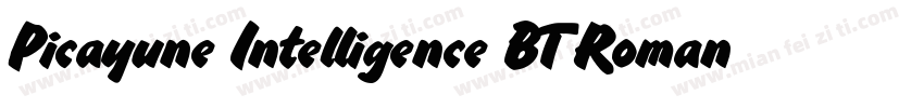 Picayune Intelligence BT Roman字体转换